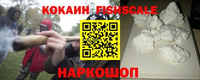 стаф Дубна