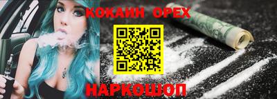 стаф Дубна