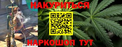 стаф Дубна