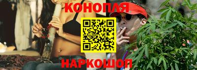 стаф Дубна