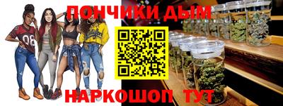 стаф Дубна