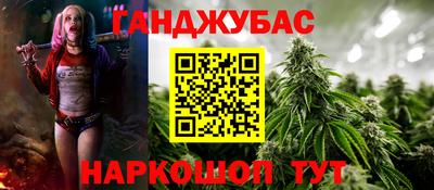 стаф Дубна