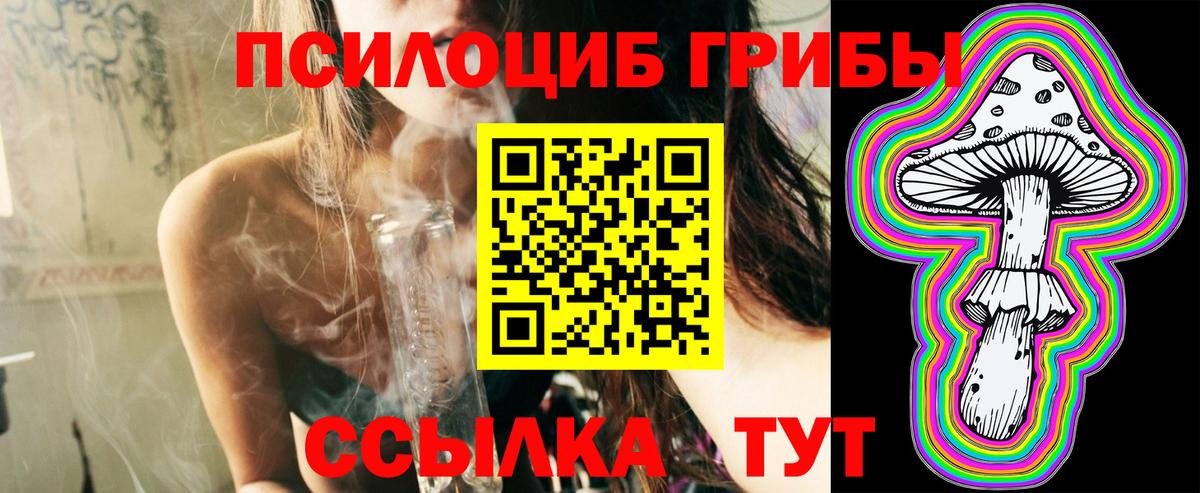 Псилоцибиновые грибы Psilocybine cubensis  Галлюциногенные грибы GOLDEN TEACHER  Всеволожск  Вход с VPN 