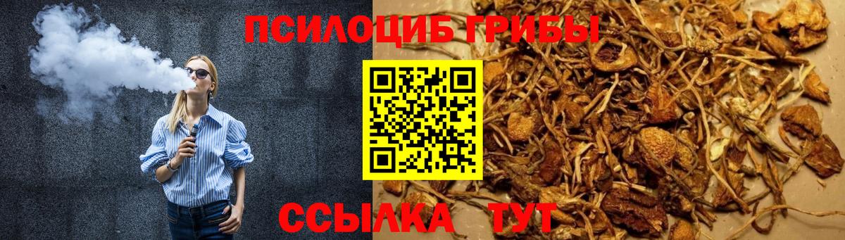 Псилоцибиновые грибы Cubensis Всеволожск